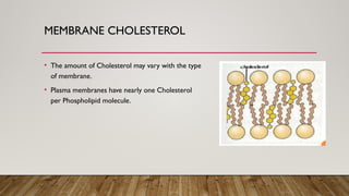 MEMBRANE CHOLESTEROL
• The amount of Cholesterol may vary with the type
of membrane.
• Plasma membranes have nearly one Cholesterol
per Phospholipid molecule.
 