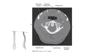 Presentation 4.pptx…..kuhyyghghhhhhhhhhhhg