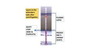 Blood Routine Index ESR PCV AND BLOOD INDICES IN ROUTINE PATHOLOGY | PPTX