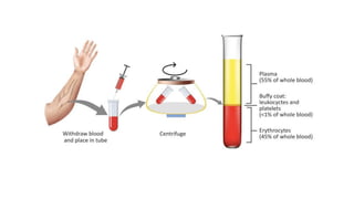 Blood Routine Index ESR PCV AND BLOOD INDICES IN ROUTINE PATHOLOGY | PPTX