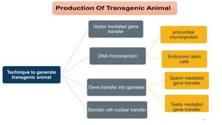 The Role of Transgenic Animals in Advancing Pharmacological Research ...