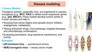 The Role of Transgenic Animals in Advancing Pharmacological Research ...
