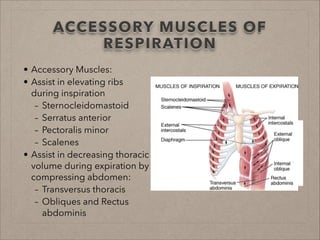 BASIC CONCEPTS IN LUNG DISEASE | PDF
