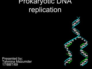 Prokaryotic DNA
replication
Presented by;
Tahmina Mazumder
17/BBT/69
 