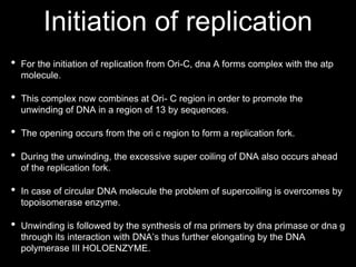 PROKARYOTIC DNA REPLICATION PRESENTATION | PPTX