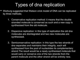 PROKARYOTIC DNA REPLICATION PRESENTATION | PPTX