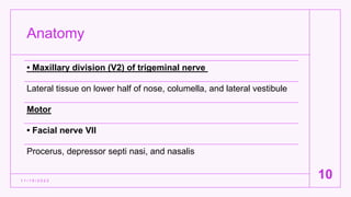Anatomy
• Maxillary division (V2) of trigeminal nerve
Lateral tissue on lower half of nose, columella, and lateral vestibule
Motor
• Facial nerve VII
Procerus, depressor septi nasi, and nasalis
1 1 / 1 5 / 2 0 2 2
10
 
