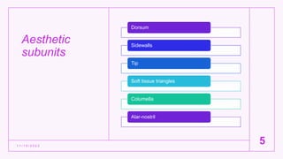 Aesthetic
subunits
1 1 / 1 5 / 2 0 2 2
5
Dorsum
Sidewalls
Tip
Soft tissue triangles
Columella
Alar-nostril
 