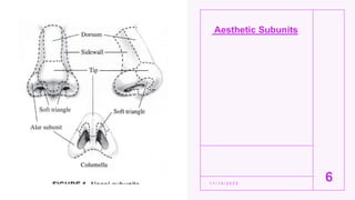 Aesthetic Subunits
1 1 / 1 5 / 2 0 2 2
6
 