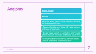 Anatomy
1 1 / 1 5 / 2 0 2 2
7
Blood Supply
Arterial
• Angular artery (branch of facial artery): Lateral
surface of caudal nose
• Superior labial artery: Nasal sill, nasal septum,
and base of columella
• Dorsal nasal branch of ophthalmic artery: Axial
arterial network for dorsal and lateral nasal skin
• Infraorbital branch of internal maxillary artery:
Dorsum and lateral sidewalls of nose
 
