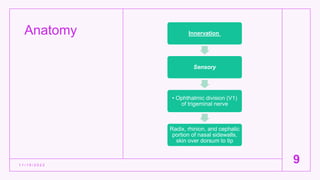 Anatomy
1 1 / 1 5 / 2 0 2 2
9
Innervation
Sensory
• Ophthalmic division (V1)
of trigeminal nerve
Radix, rhinion, and cephalic
portion of nasal sidewalls,
skin over dorsum to tip
 