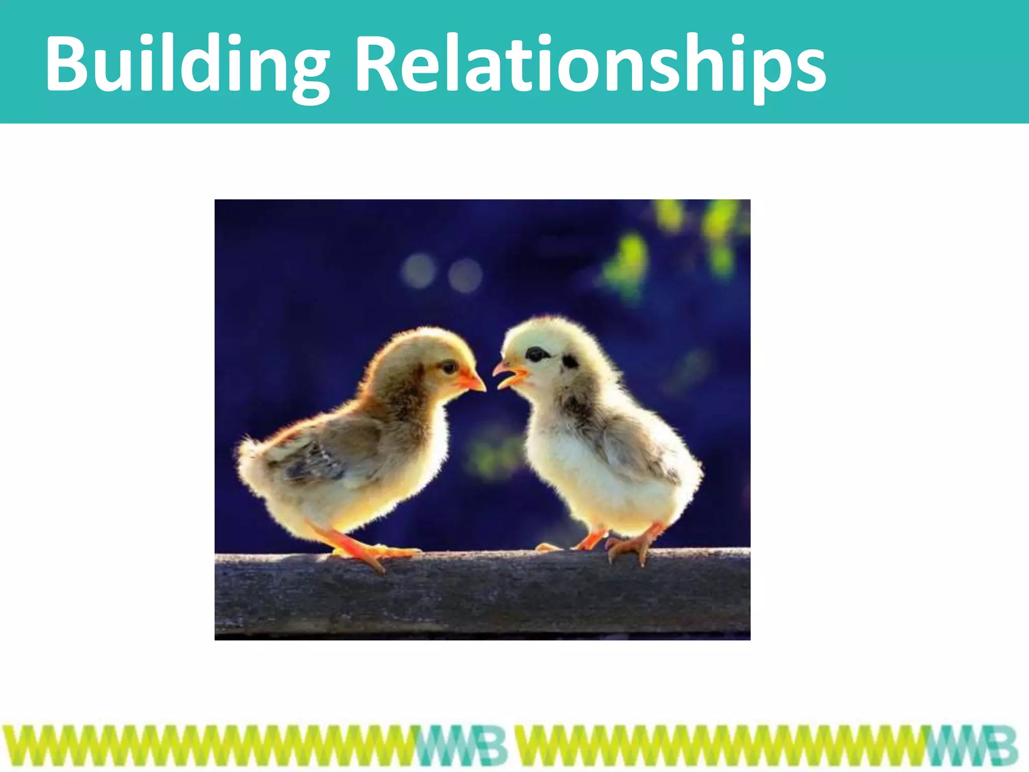 Building Relationships
 