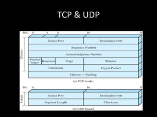 TCP & UDP