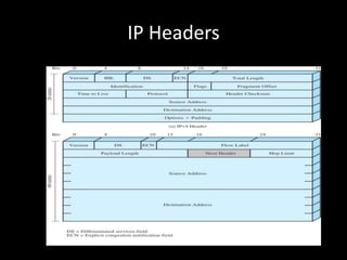 IP Headers