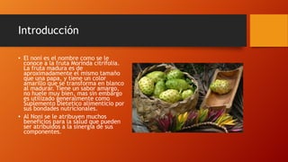 Introducción

• El noni es el nombre como se le
  conoce a la fruta Morinda citrifolia.
  La fruta madura es de
  aproximadamente el mismo tamaño
  que una papa, y tiene un color
  amarillo que se transforma en blanco
  al madurar. Tiene un sabor amargo,
  no huele muy bien, mas sin embargo
  es utilizado generalmente como
  Suplemento Dietetico alimenticio por
  sus bondades nutricionales.
• Al Noni se le atribuyen muchos
  beneficios para la salud que pueden
  ser atribuidos a la sinergia de sus
  componentes.
 