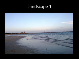 Landscape 1
 
