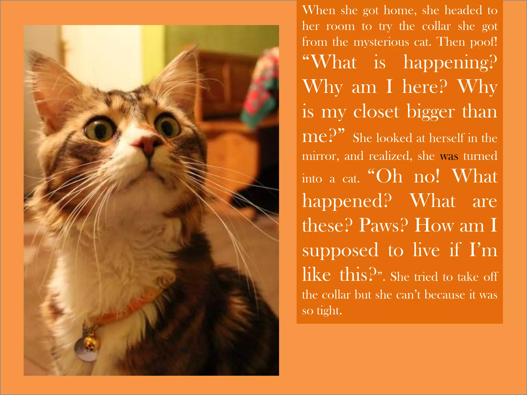 When she got home, she headed to
her room to try the collar she got
from the mysterious cat. Then poof!
“What is happening?
Why am I here? Why
is my closet bigger than
me?” She looked at herself in the
mirror, and realized, she was turned
into a cat. “Oh no! What
happened? What are
these? Paws? How am I
supposed to live if I’m
like this?”. She tried to take off
the collar but she can’t because it was
so tight.
 