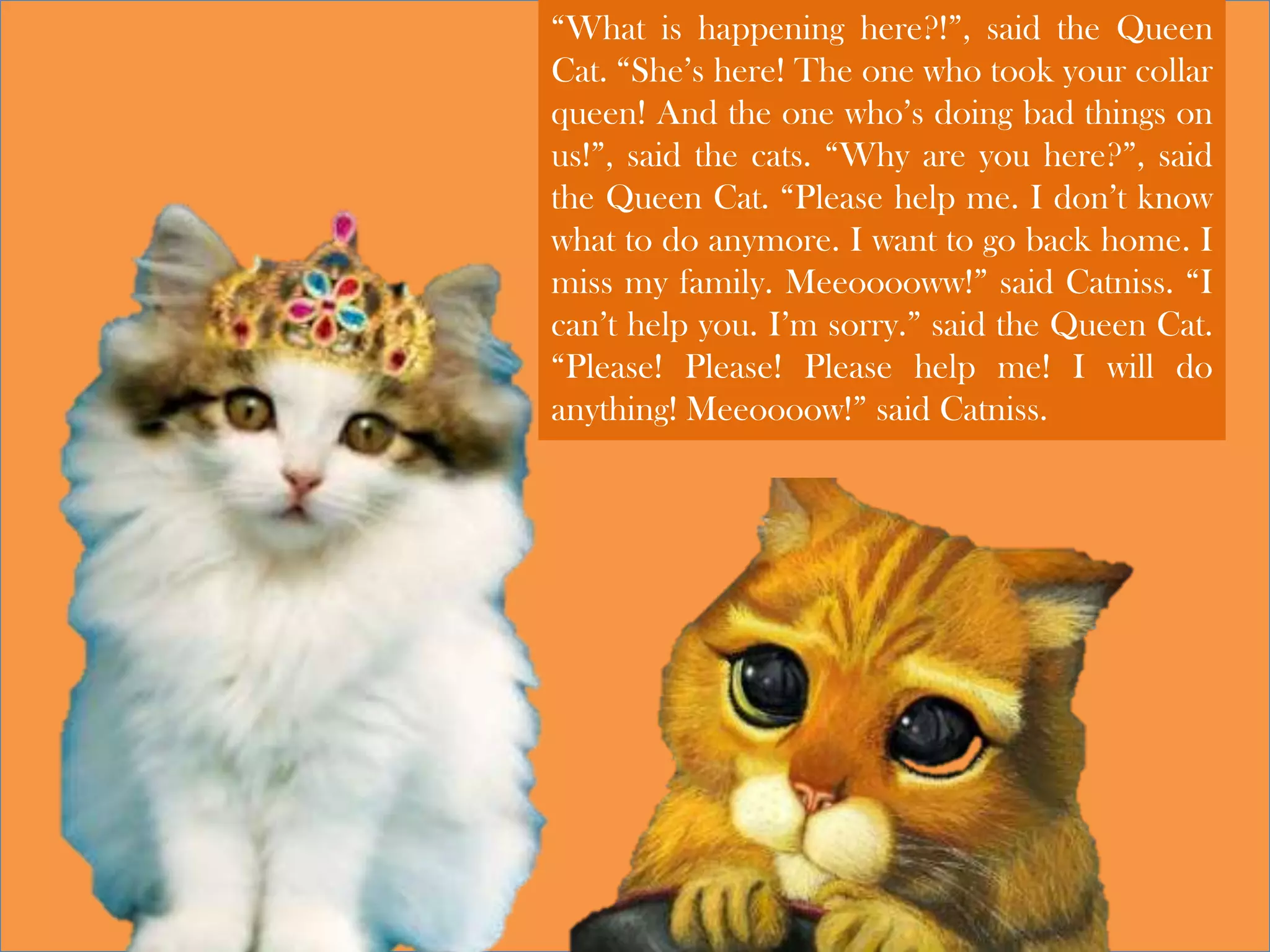 “What is happening here?!”, said the Queen
Cat. “She’s here! The one who took your collar
queen! And the one who’s doing bad things on
us!”, said the cats. “Why are you here?”, said
the Queen Cat. “Please help me. I don’t know
what to do anymore. I want to go back home. I
miss my family. Meeooooww!” said Catniss. “I
can’t help you. I’m sorry.” said the Queen Cat.
“Please! Please! Please help me! I will do
anything! Meeoooow!” said Catniss.
 