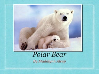 Polar Bear
By Madalynn Alsup

 