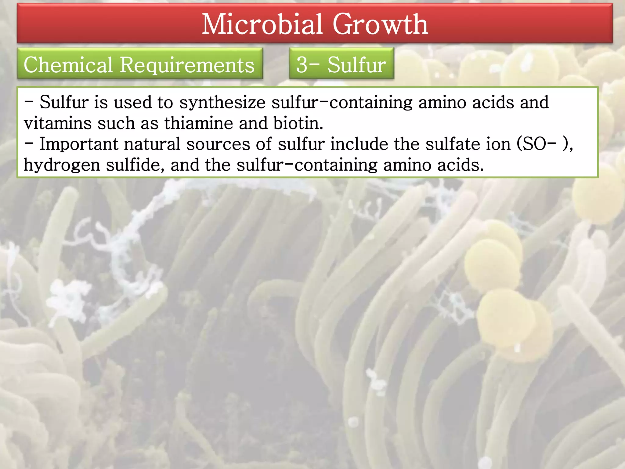 Microbial Growth 
Chemical Requirements 3- Sulfur 
- Sulfur is used to synthesize sulfur-containing amino acids and 
vitamins such as thiamine and biotin. 
- Important natural sources of sulfur include the sulfate ion (SO- ), 
hydrogen sulfide, and the sulfur-containing amino acids. 
 