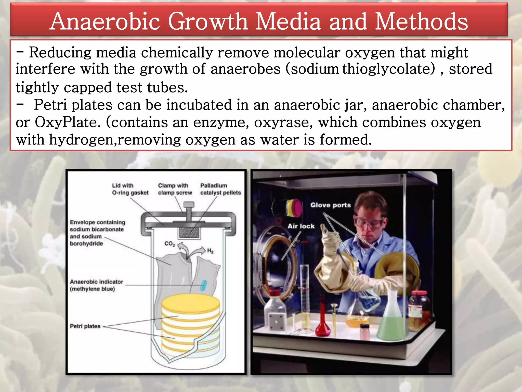 Anaerobic Growth Media and Methods 
- Reducing media chemically remove molecular oxygen that might 
interfere with the growth of anaerobes (sodiumthioglycolate) , stored 
tightly capped test tubes. 
- Petri plates can be incubated in an anaerobic jar, anaerobic chamber, 
or OxyPlate. (contains an enzyme, oxyrase, which combines oxygen 
with hydrogen,removing oxygen as water is formed. 
 