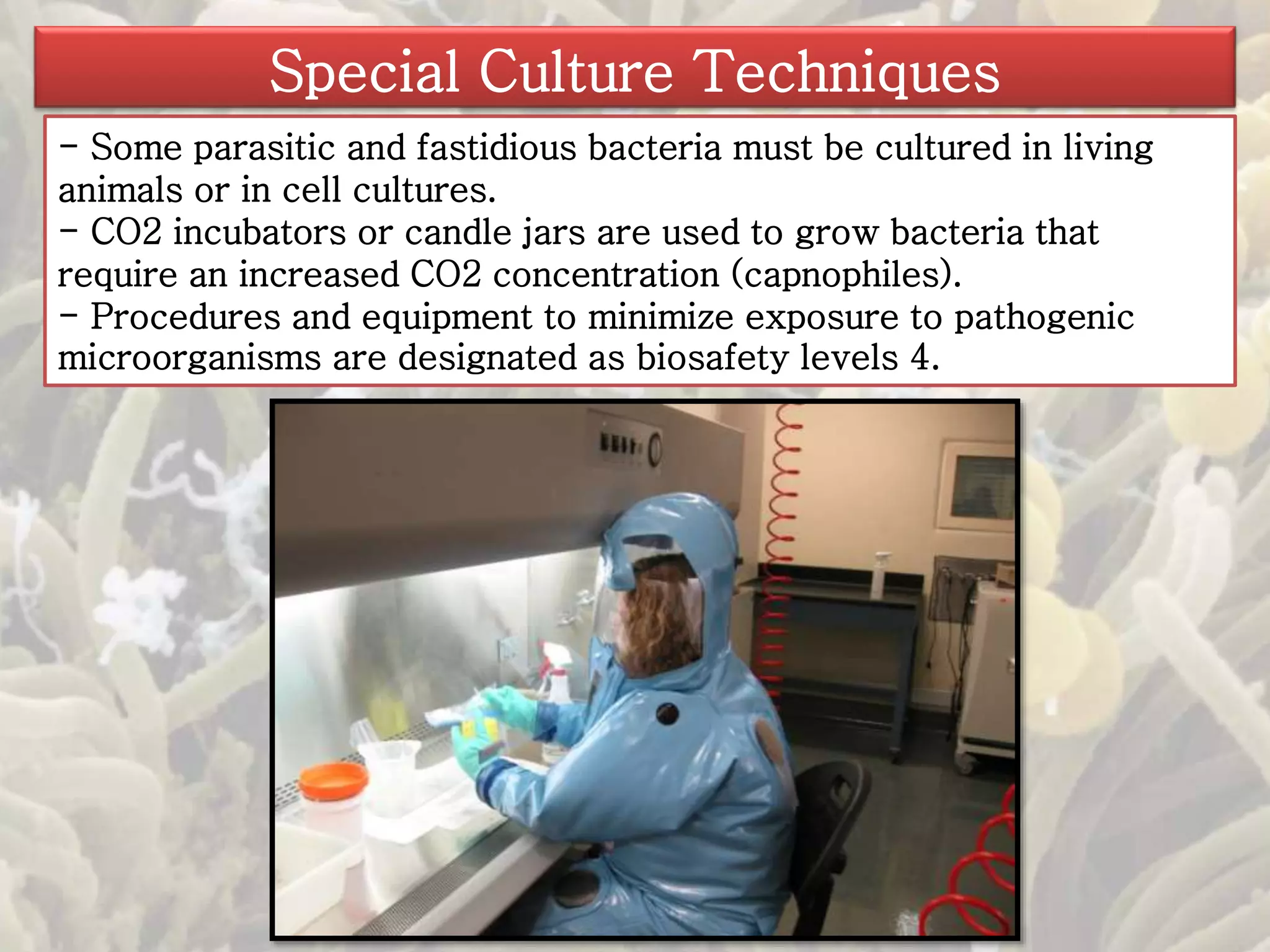 Special Culture Techniques 
- Some parasitic and fastidious bacteria must be cultured in living 
animals or in cell cultures. 
- CO2 incubators or candle jars are used to grow bacteria that 
require an increased CO2 concentration (capnophiles). 
- Procedures and equipment to minimize exposure to pathogenic 
microorganisms are designated as biosafety levels 4. 
 