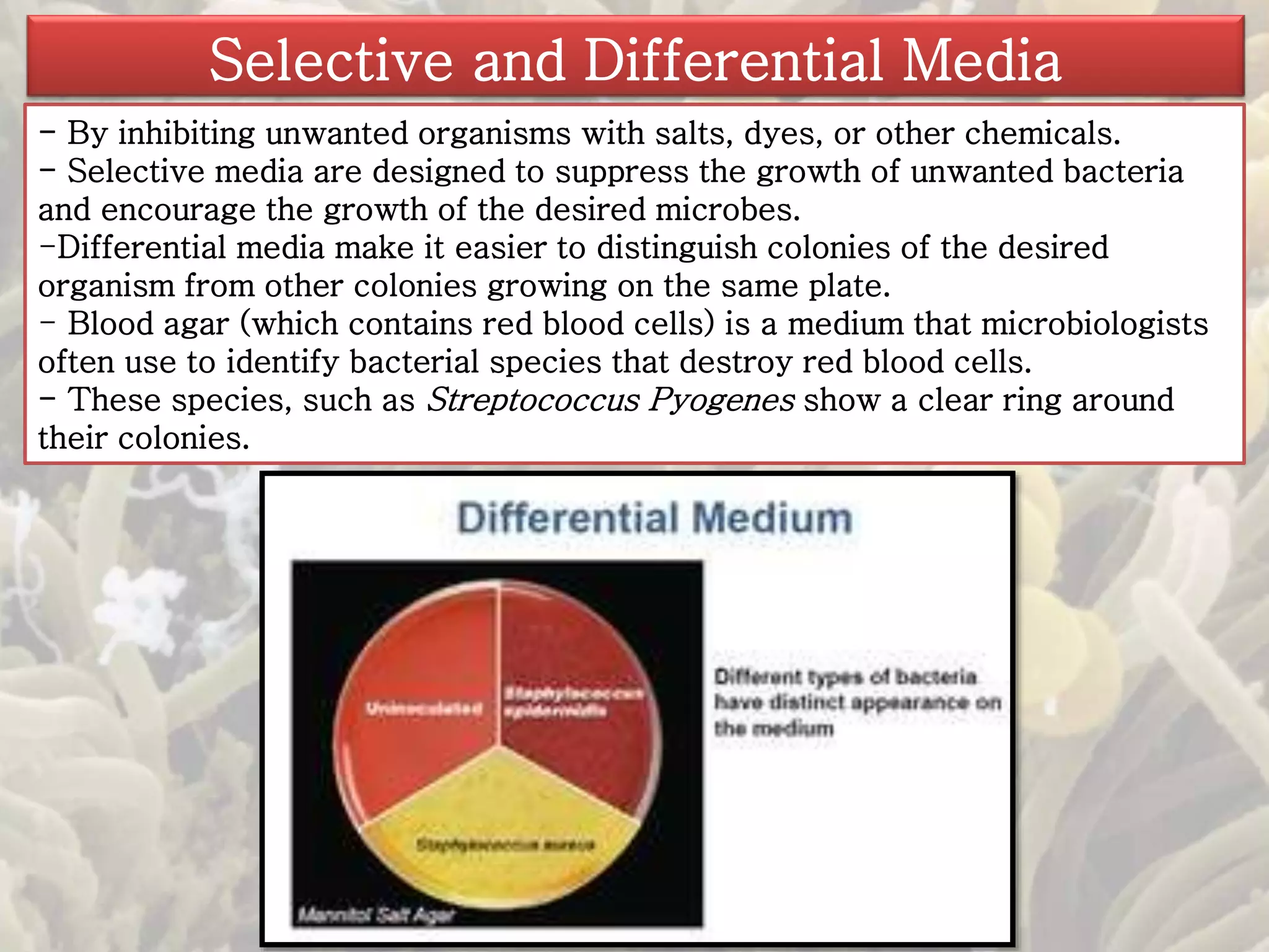 Selective and Differential Media 
- By inhibiting unwanted organisms with salts, dyes, or other chemicals. 
- Selective media are designed to suppress the growth of unwanted bacteria 
and encourage the growth of the desired microbes. 
-Differential media make it easier to distinguish colonies of the desired 
organism from other colonies growing on the same plate. 
- Blood agar (which contains red blood cells) is a medium that microbiologists 
often use to identify bacterial species that destroy red blood cells. 
- These species, such as Streptococcus Pyogenes show a clear ring around 
their colonies. 
 