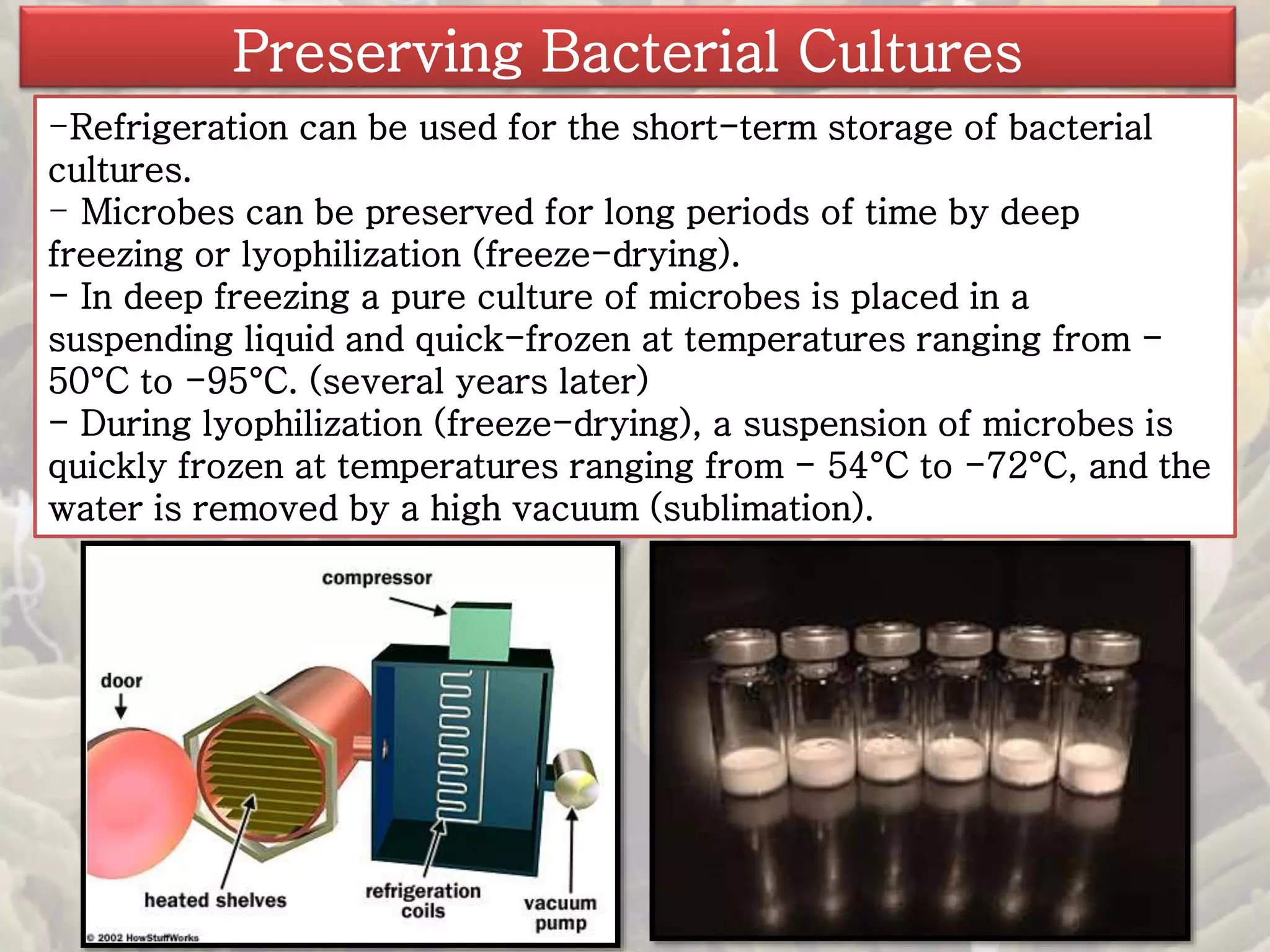 Preserving Bacterial Cultures 
-Refrigeration can be used for the short-term storage of bacterial 
cultures. 
- Microbes can be preserved for long periods of time by deep 
freezing or lyophilization (freeze-drying). 
- In deep freezing a pure culture of microbes is placed in a 
suspending liquid and quick-frozen at temperatures ranging from - 
50°C to -95°C. (several years later) 
- During lyophilization (freeze-drying), a suspension of microbes is 
quickly frozen at temperatures ranging from - 54°C to -72°C, and the 
water is removed by a high vacuum (sublimation). 
 