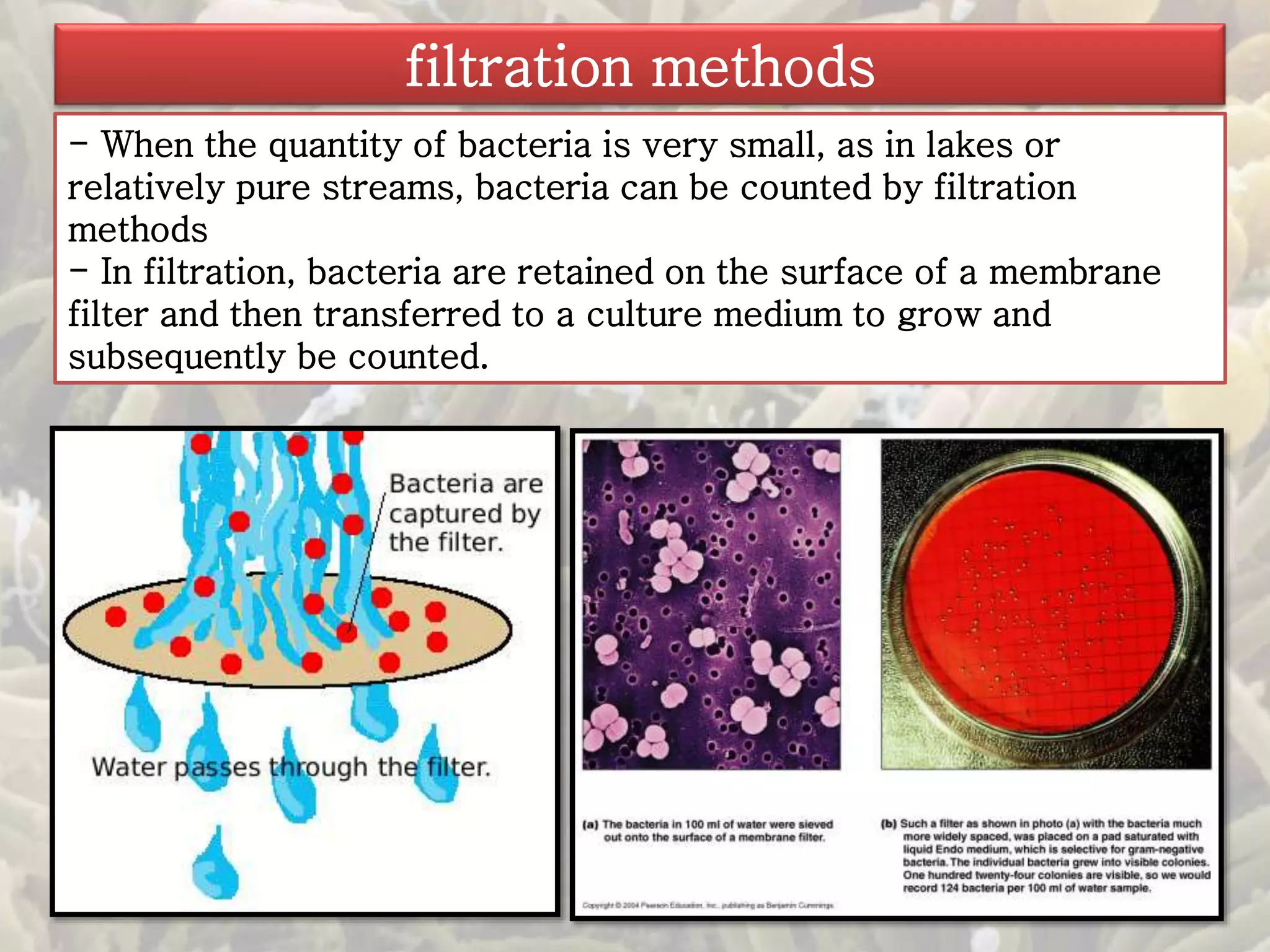 filtration methods 
- When the quantity of bacteria is very small, as in lakes or 
relatively pure streams, bacteria can be counted by filtration 
methods 
- In filtration, bacteria are retained on the surface of a membrane 
filter and then transferred to a culture medium to grow and 
subsequently be counted. 
 