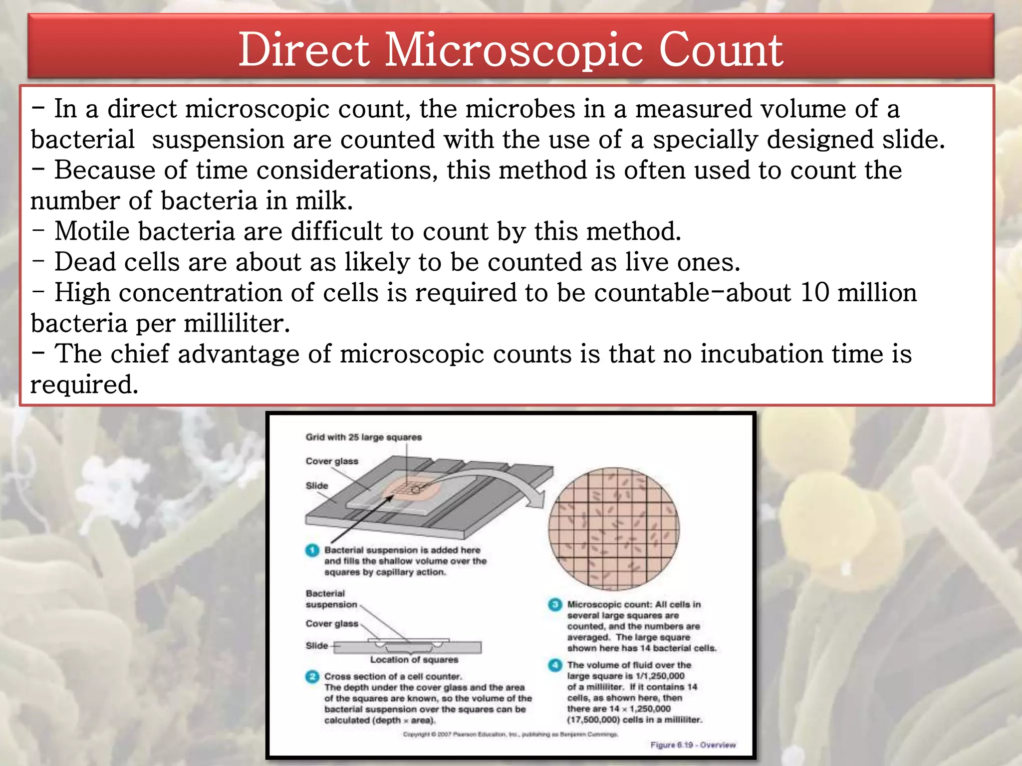 Direct Microscopic Count 
- In a direct microscopic count, the microbes in a measured volume of a 
bacterial suspension are counted with the use of a specially designed slide. 
- Because of time considerations, this method is often used to count the 
number of bacteria in milk. 
- Motile bacteria are difficult to count by this method. 
- Dead cells are about as likely to be counted as live ones. 
- High concentration of cells is required to be countable-about 10 million 
bacteria per milliliter. 
- The chief advantage of microscopic counts is that no incubation time is 
required. 
 