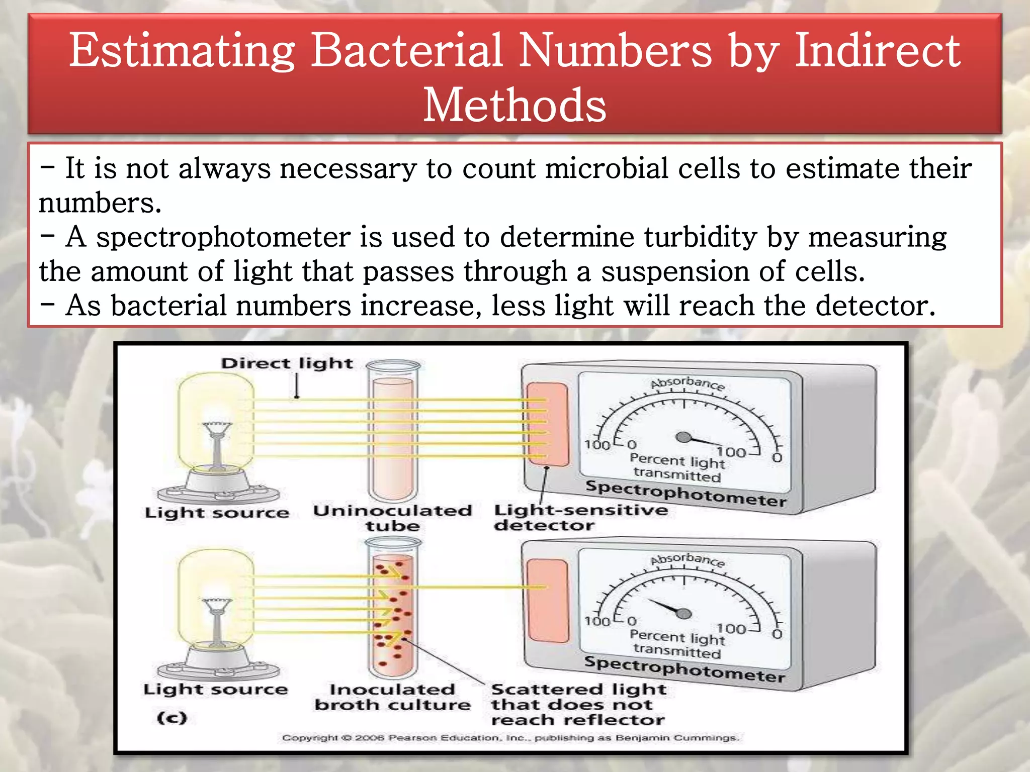 Estimating Bacterial Numbers by Indirect 
Methods 
- It is not always necessary to count microbial cells to estimate their 
numbers. 
- A spectrophotometer is used to determine turbidity by measuring 
the amount of light that passes through a suspension of cells. 
- As bacterial numbers increase, less light will reach the detector. 
 