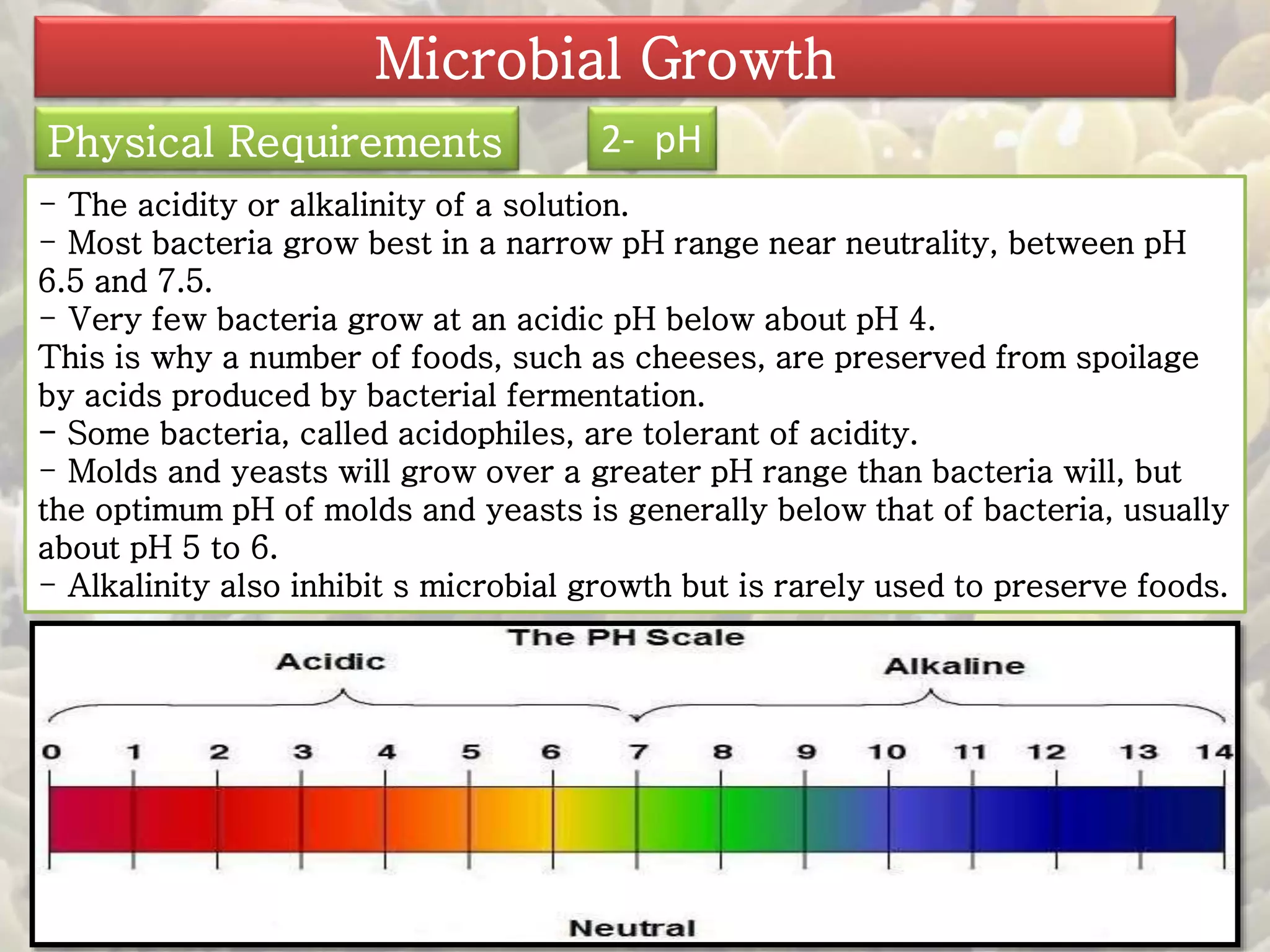 Microbial Growth 
Physical Requirements 2- pH 
- The acidity or alkalinity of a solution. 
- Most bacteria grow best in a narrow pH range near neutrality, between pH 
6.5 and 7.5. 
- Very few bacteria grow at an acidic pH below about pH 4. 
This is why a number of foods, such as cheeses, are preserved from spoilage 
by acids produced by bacterial fermentation. 
- Some bacteria, called acidophiles, are tolerant of acidity. 
- Molds and yeasts will grow over a greater pH range than bacteria will, but 
the optimum pH of molds and yeasts is generally below that of bacteria, usually 
about pH 5 to 6. 
- Alkalinity also inhibit s microbial growth but is rarely used to preserve foods. 
 