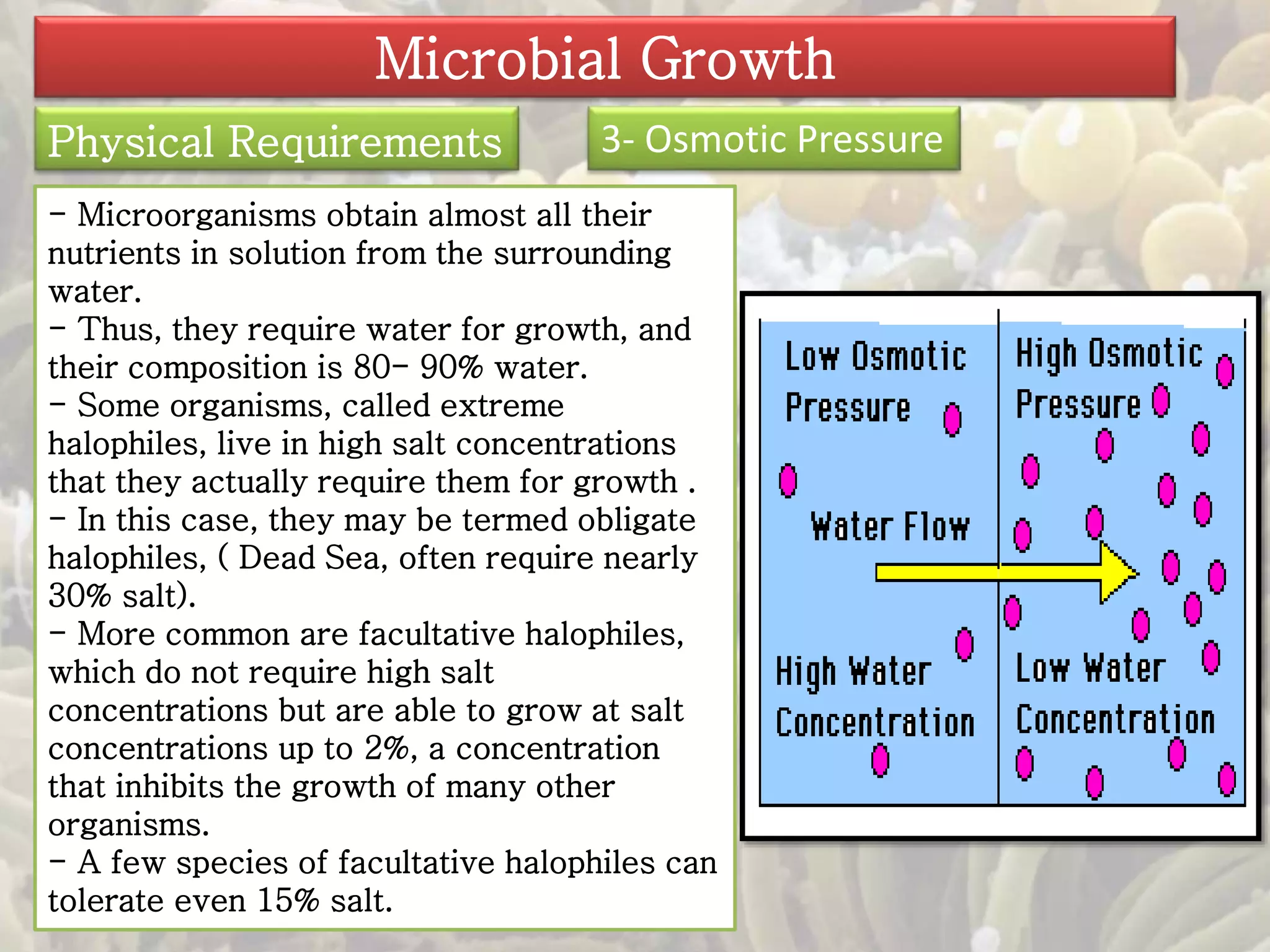 Microbial Growth 
Physical Requirements 3- Osmotic Pressure 
- Microorganisms obtain almost all their 
nutrients in solution from the surrounding 
water. 
- Thus, they require water for growth, and 
their composition is 80- 90% water. 
- Some organisms, called extreme 
halophiles, live in high salt concentrations 
that they actually require them for growth . 
- In this case, they may be termed obligate 
halophiles, ( Dead Sea, often require nearly 
30% salt). 
- More common are facultative halophiles, 
which do not require high salt 
concentrations but are able to grow at salt 
concentrations up to 2%, a concentration 
that inhibits the growth of many other 
organisms. 
- A few species of facultative halophiles can 
tolerate even 15% salt. 
 