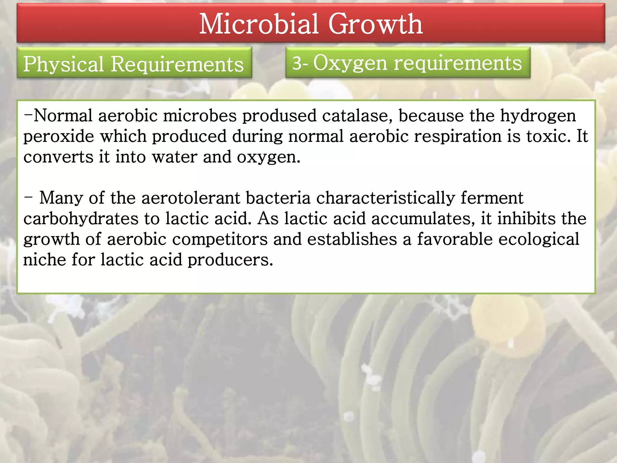 Microbial Growth 
Physical Requirements 3- Oxygen requirements 
-Normal aerobic microbes prodused catalase, because the hydrogen 
peroxide which produced during normal aerobic respiration is toxic. It 
converts it into water and oxygen. 
- Many of the aerotolerant bacteria characteristically ferment 
carbohydrates to lactic acid. As lactic acid accumulates, it inhibits the 
growth of aerobic competitors and establishes a favorable ecological 
niche for lactic acid producers. 
 