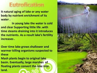It natural aging of lake or any water
body by nutrient enrichment of its
water .
In young lake the water is cold
and clear Supporting little life .with
time steams draining into it Introduces
the nutrients. As a result lake’s fertility
increases .
Over time lake grows shallower and
warmer killing organisms suspected to
these
Mash plants begin to original lake
basin. Eventually, large marshes of
floating plants convert the lake into
land.
 