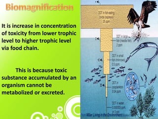 It is increase in concentration
of toxicity from lower trophic
level to higher trophic level
via food chain.
This is because toxic
substance accumulated by an
organism cannot be
metabolized or excreted.
 