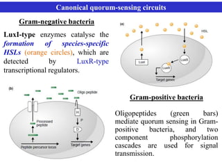 Microbial Quorum Sensing - lux S | PPTX