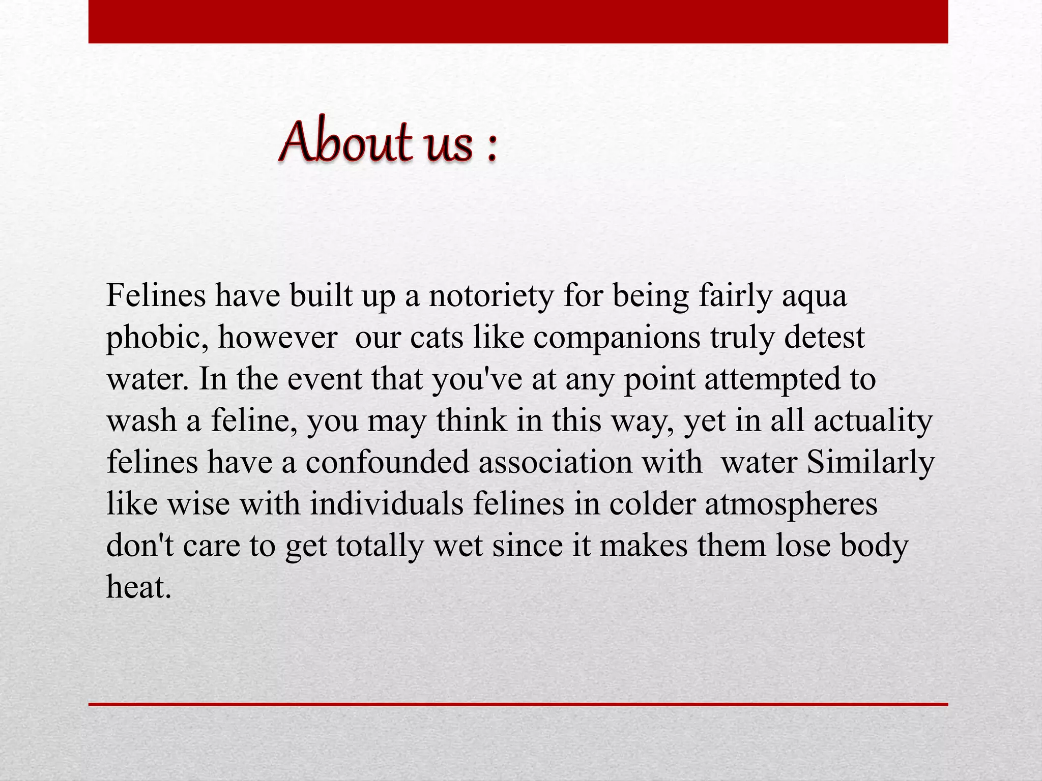 Why Don t Cats Like Water PPT Why don t cats like water ppt