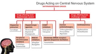Pharmacological Classification Of Drugs | PPTX