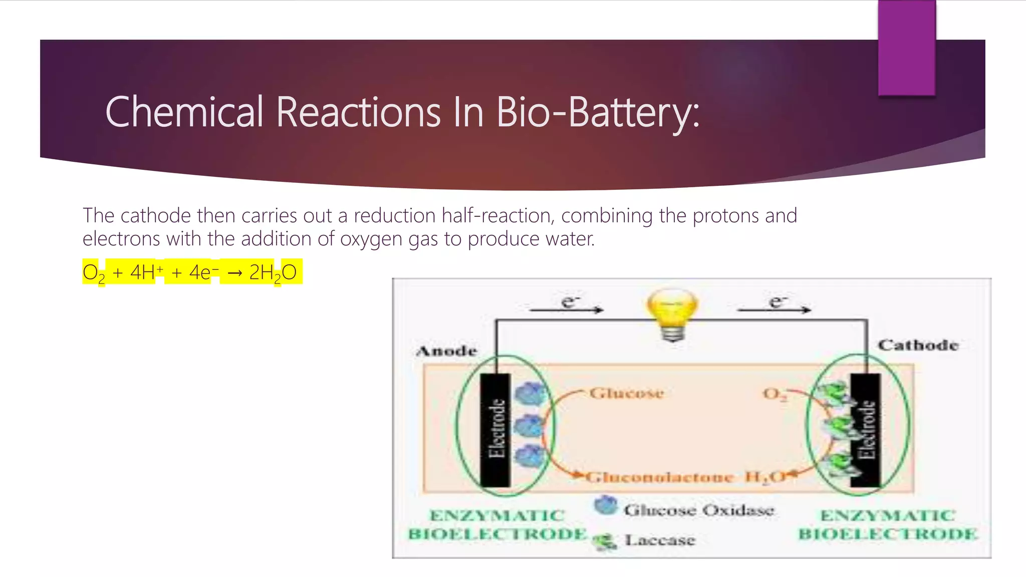 Chemical Reactions In Bio-Battery:
The cathode then carries out a reduction half-reaction, combining the protons and
electrons with the addition of oxygen gas to produce water.
O2 + 4H+ + 4e− → 2H2O
 