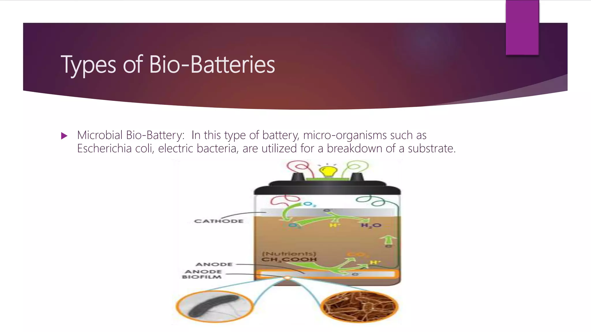 Types of Bio-Batteries
 Microbial Bio-Battery: In this type of battery, micro-organisms such as
Escherichia coli, electric bacteria, are utilized for a breakdown of a substrate.
 