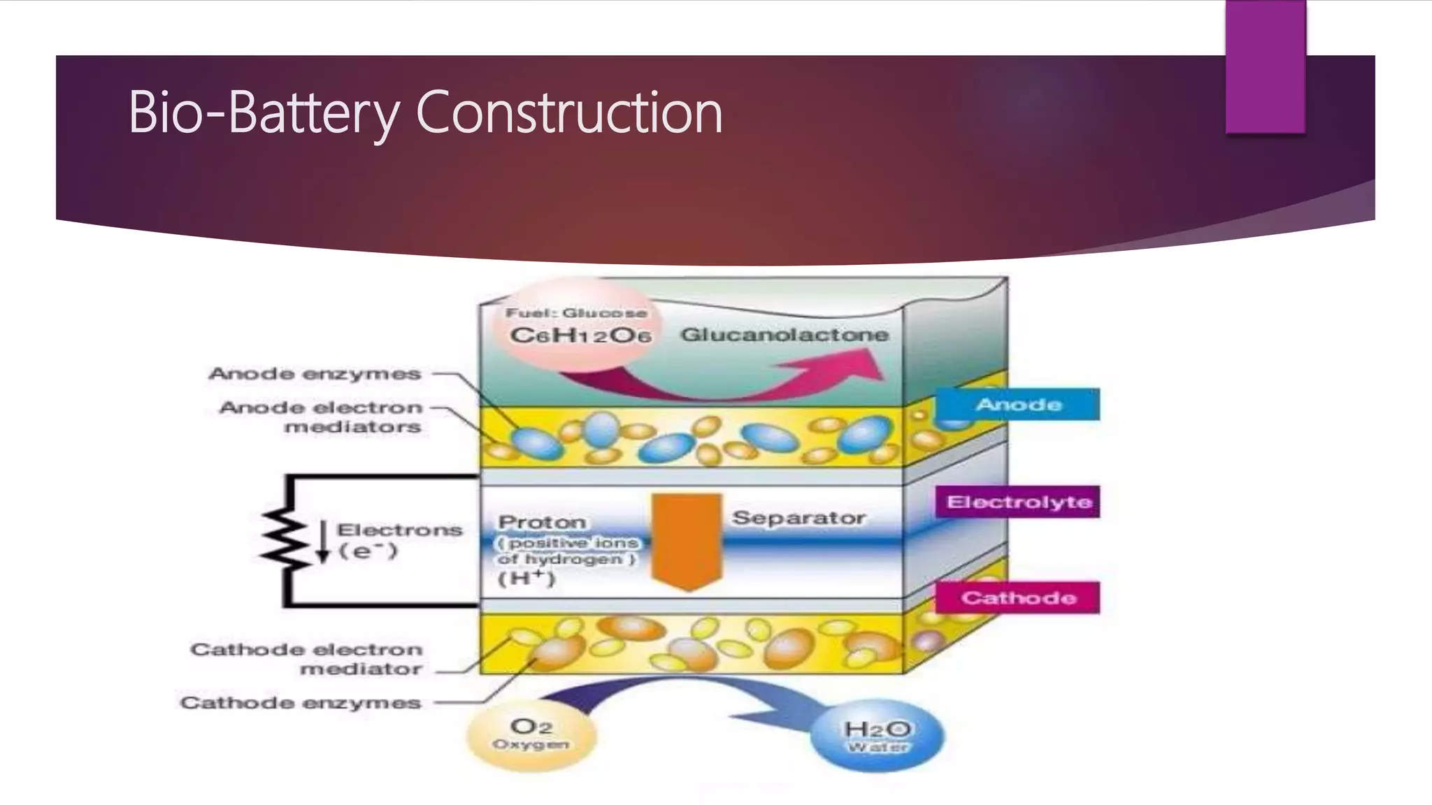 Bio-Battery Construction
 