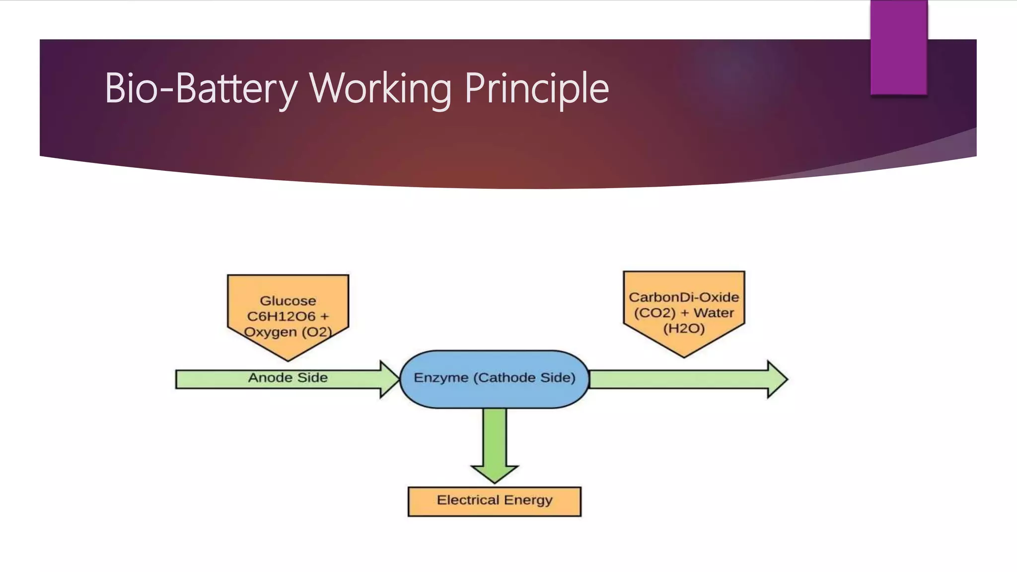 Bio-Battery Working Principle
 