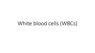 White blood cells (WBCs)
 