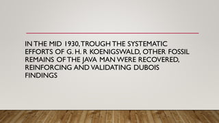 IN THE MID 1930,TROUGH THE SYSTEMATIC
EFFORTS OF G. H. R KOENIGSWALD, OTHER FOSSIL
REMAINS OF THE JAVA MAN WERE RECOVERED,
REINFORCING AND VALIDATING DUBOIS
FINDINGS
 