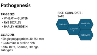 Pathogenesis
TRIGGERS
• WHEAT GLUTEN
→
• RYE SECALIN
• BARLEY HORDEIN
GLIADINS
• Single polypeptides-30-75k mw
• Glutamine n proline rich
• Alfa, Beta, Gamma, Omega
subtypes.
RICE, CORN, OATS -
SAFE
GLADINS
GLUTENIN
S
GLOBULIN
S
ALBUMINS
 