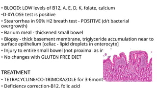 • BLOOD: LOW levels of B12, A, E, D, K, folate, calcium
•D-XYLOSE test is positive
• Stearorrhea in 90% H2 breath test - POSITIVE (d/t bacterial
overgrowth)
• Barium meal - thickened small bowel
• Biopsy - thick basement membrane, triglyceride accumulation near to
surface epithelium [celiac - lipid droplets in enterocyte]
• Injury to entire small bowel (not proximal as in celiac sprue)
• No changes with GLUTEN FREE DIET
TREATMENT
• TETRACYCLINE/CO-TRIMOXAZOLE for 3-6months
• Deficiency correction-B12, folic acid
 