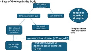 • Fate of d-xylose in the body
d-xylose
consumed
50% absorbed in gut
measure fraction of
ingested dose excreted
(>22%)
measure blood level (>20 mg/dL)
25% excreted
via kidney
25% released
into general
circulation
25% hepatic
metabolism
50% excreted
<20mg/dl in blood
< 16% excretion in
urine
In
abnormal
intestinal
absorptio
n
 