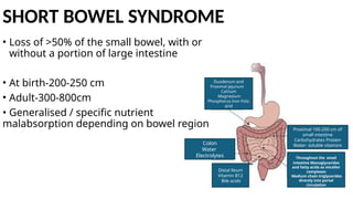 SHORT BOWEL SYNDROME
• Loss of >50% of the small bowel, with or
without a portion of large intestine
• At birth-200-250 cm
• Adult-300-800cm
• Generalised / specific nutrient
malabsorption depending on bowel region
Duodenum and
Proximal jejunum
Calcium
Magnesium
Phosphorus Iron Folic
acid
Throughout the small
intestine Monoglycerides
and fatty acids as miceller
complexes
Medium chain triglycerides
directly into portal
circulation
Proximal 100-200 cm of
small intestine
Carbohydrates Protein
Water- soluble vitamins
Distal lleum
Vitamin B12
Bile acids
Colon
Water
Electrolytes
 