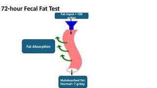 72-hour Fecal Fat Test
Fat Absorption
Fat input = 100
g/day
Malabsorbed fat:
Normal< 7 g/day
 